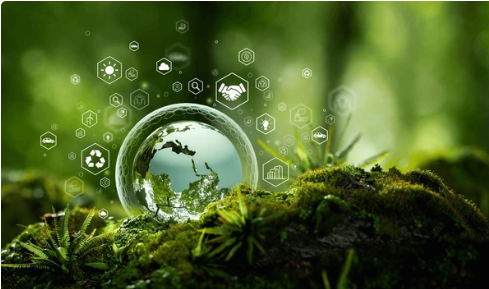 Génie Environnement